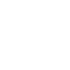 Other icons 21